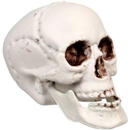 3.5'' Skull Head Halloween Decorations, 6ct.